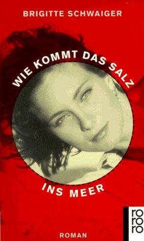 Wie kommt das Salz ins Meer Roman